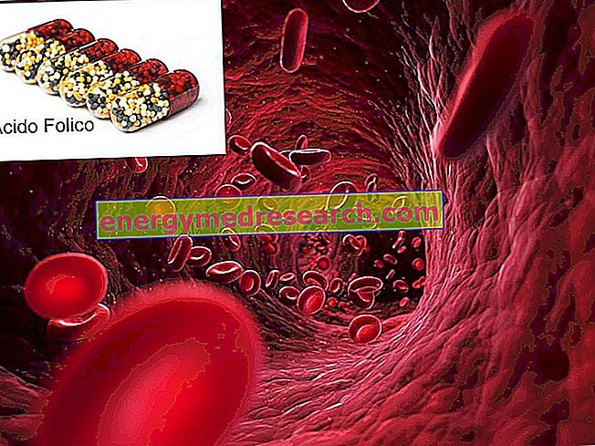 Homocysteín: kyselina listová proti vaskulárnym udalostiam a rakovine