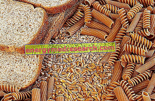Integrerad eller raffinerad?  Jämförande bröd och pasta
