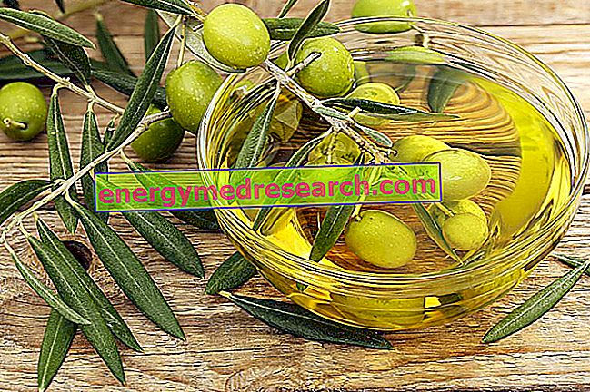 ¿El aceite de oliva protege contra la diabetes?
