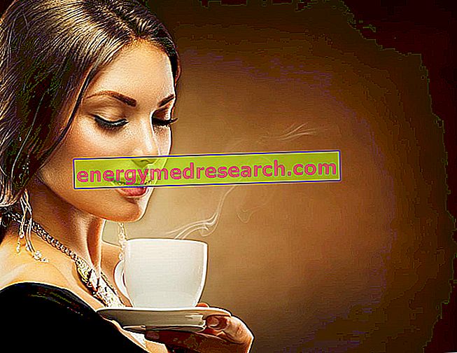 Kava, kakav in čaj: ki vsebuje več antioksidantov?