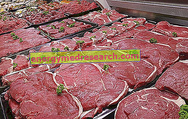 Animal Proteins, Cholesterolemia and Tumors