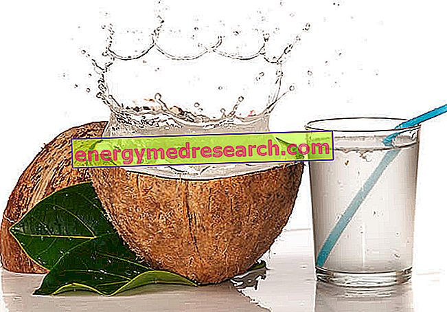 Água de coco e saúde