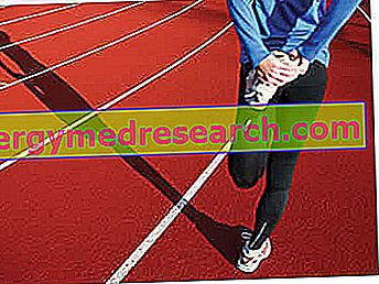 Rápido medio terreno en atletismo - 800 y 1500m