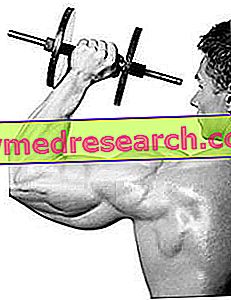 Trening og kosthold for muskelstyrkeutvikling