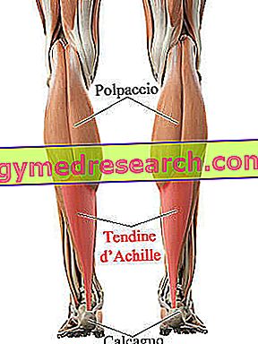 Tratamentul rupturii tendonului cotului, Pierde în greutate tendinita achilei
