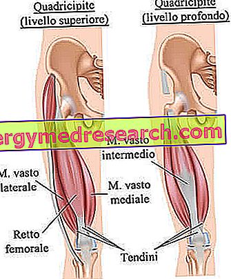 mușchii și articulațiile întregului corp doare antiinflamatoare pentru osteochondroza lombară