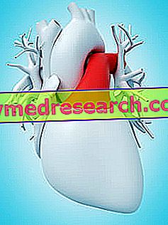 Arteria pulmonar de A.Griguolo