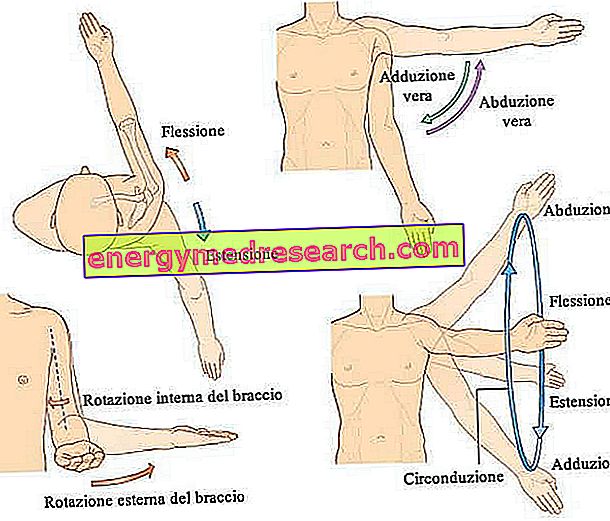 Deteriorarea tendonului mușchiului supraspinat al articulației umărului drept.