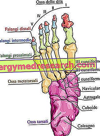 artroza falangului metatarsian