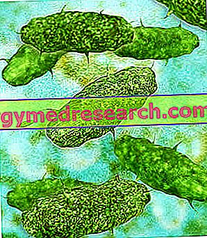 Aerobi și bacterii anaerobe