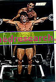 The DOMS search in the bodybuilder