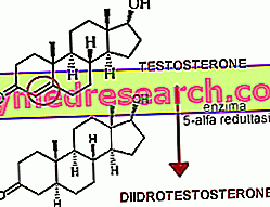 5-alpha reductase và dihydrotestosterone
