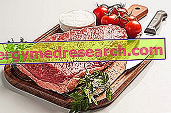 Филе: хранителни свойства, употреба в диетата и как да се готви Р.Боргаччи