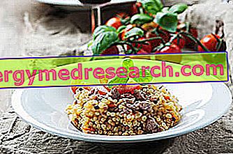 Fregola sarda: Propiedades nutricionales, papel en la dieta y cómo cocinarla por R.Borgacci