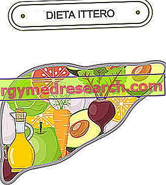 Dieta za Italo