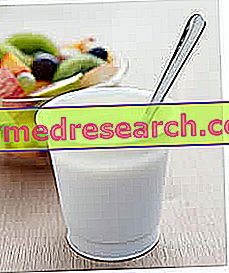 Dieta de yogurt