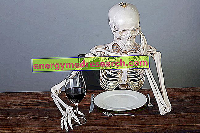 Anorexia y salud ósea