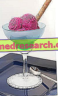 Ice Cream Preparation - Pasteurization, Maturation, Finishing