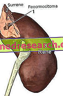 hipertenzija ir feochromocitoma hipertenzijos schemos dėlių siurbimo taško hirudoterapija