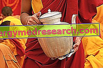 Έγχυση βουδιστών μοναχών του Ι. Ράντη