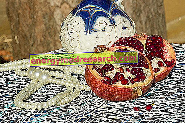 Granatäpple och ayurvedisk medicin