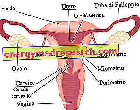 Prolaps vaginal uterin