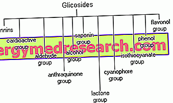 glicosídeos