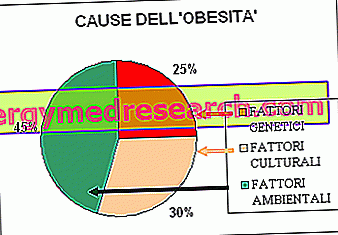 Génétique et obésité