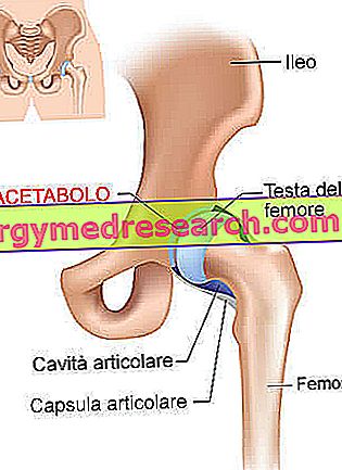 care sunt durerile în articulația genunchiului dureri de umăr sub articulație