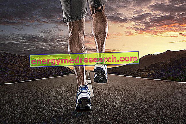 How much distance is covered on foot during life?