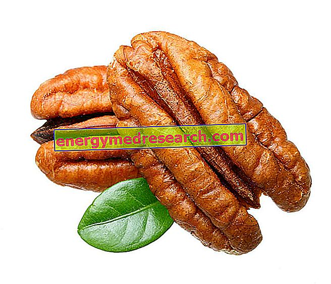 Pecan nuts against tuberculosis: will it be true?