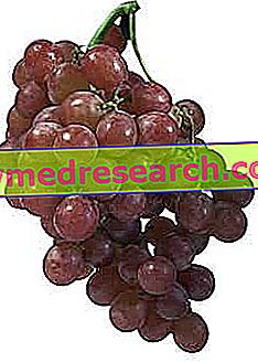 Winogrona: własność