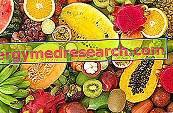 Tropické ovocie: Čo sú to?  Výživové, hygienické a ekonomické rozdiely R.Borgacciho