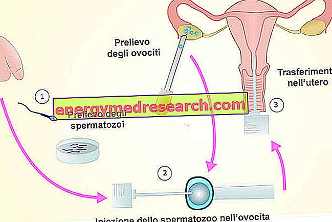 Cum se face mai mult spermă | Sfaturi | June 
