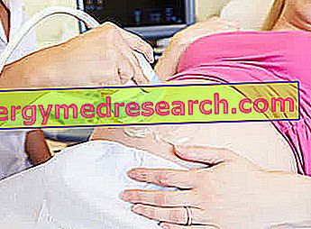 Ultrason Morphologique pendant la grossesse