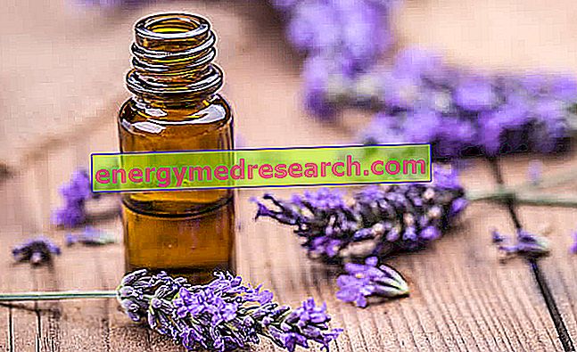 Lavender Oil - Essential Lavender Oil