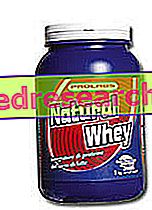 Suplemen whey - Protein whey