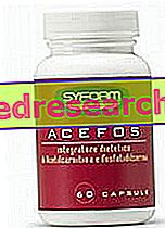 Acefos Syform - acetyl l karnitin a fosfatidyl serin