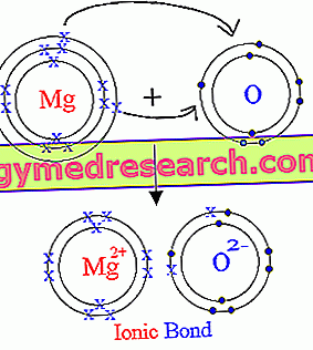 Magnesium Oxide - Magnesium Hydroxide