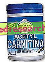 Suppléments de Carnitine et d’Acétyl L Carnitine