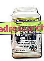 100% protein pro výměnu iontů - Anderson