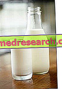 Paleidinės-paleodietinės dietos prieštaravimai - pienas ir jo dariniai