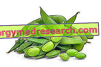 Edamame - nezralé sójové fazole: Nutriční vlastnosti a jak je vařit R.Borgacci
