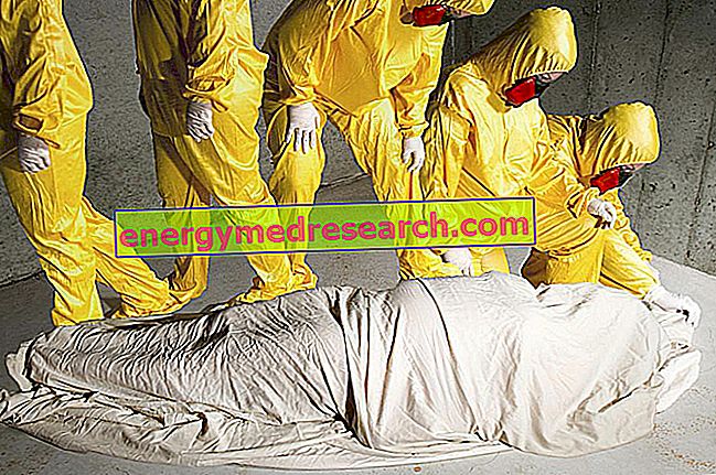 エボラと葬儀の感染の危険性