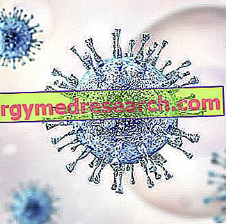cytomegalovirus