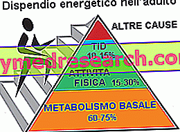 Keperluan tenaga dan metabolisme basal