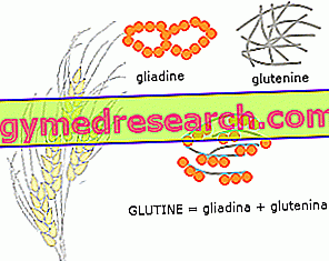 glutén