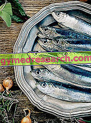 kokios žuvys nuo hipertenzijos pagrindiniai ligos hipertenzijos požymiai