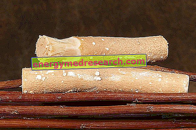 Siwak: přírodní zubní kartáček