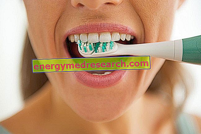 Cepillos de dientes eléctricos sónicos y ultrasónicos.